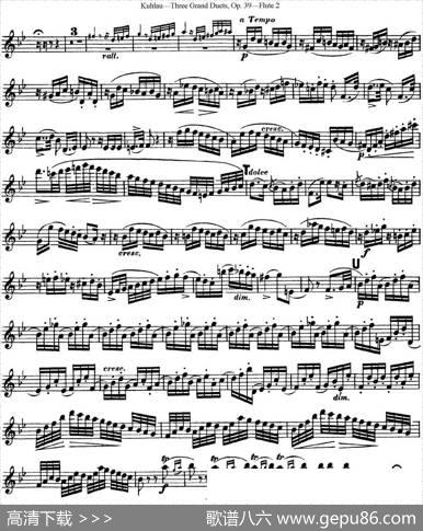 库劳长笛二重奏大练习曲Op.39——Flute2（No.2）|Kuhlau(库劳)