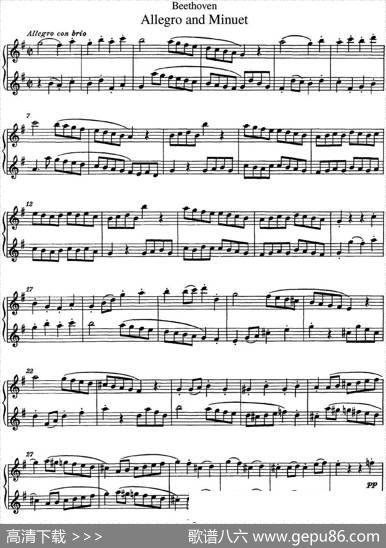 贝多芬快板及小步舞曲二重奏|Beethoven（贝多芬）