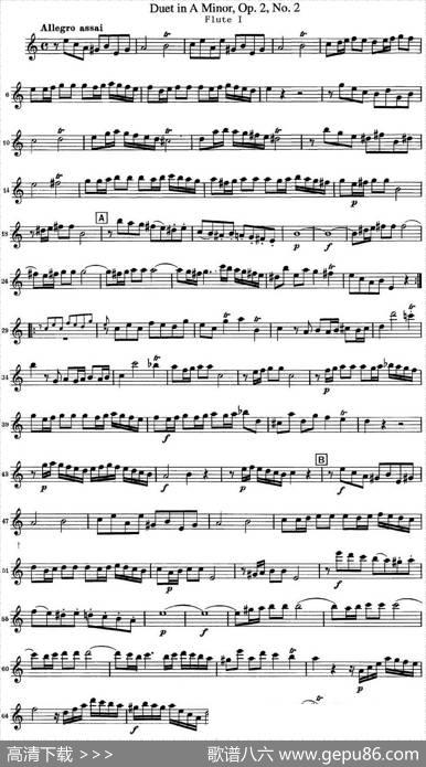 匡茨G大调长笛二重奏Op.2——Flute1（No.2）|Quantz（匡茨）