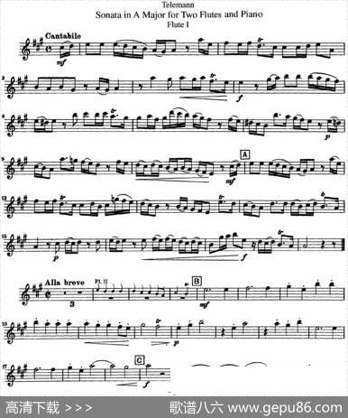 台莱曼A大调双长笛与钢琴奏鸣曲|Telemann（台莱曼）