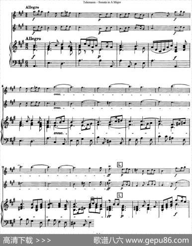 台莱曼A大调双长笛与钢琴奏鸣曲|Telemann（台莱曼）