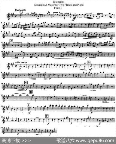 台莱曼A大调双长笛与钢琴奏鸣曲|Telemann（台莱曼）
