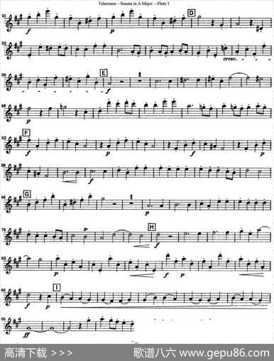 台莱曼A大调双长笛与钢琴奏鸣曲|Telemann（台莱曼）