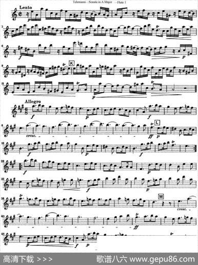 台莱曼A大调双长笛与钢琴奏鸣曲|Telemann（台莱曼）