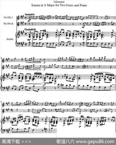 台莱曼A大调双长笛与钢琴奏鸣曲|Telemann（台莱曼）