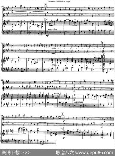 台莱曼A大调双长笛与钢琴奏鸣曲|Telemann（台莱曼）