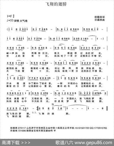 飞翔的翅膀 - 杜晓言|许森林