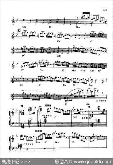 匈牙利舞曲第一号|布拉姆斯曲蒋先华编配
