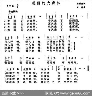 美丽的大森林 - 宋斌廷|王群
