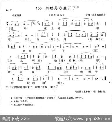 白牡丹心里开了