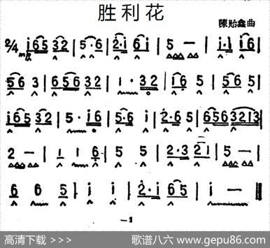 胜利花|陈贻鑫
