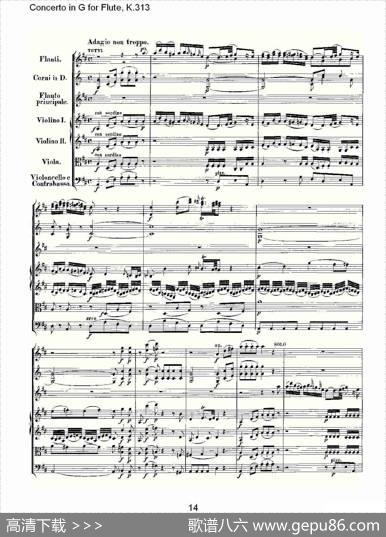 ConcertoinGforFlute,K.313（G调长笛协奏曲,K.313）