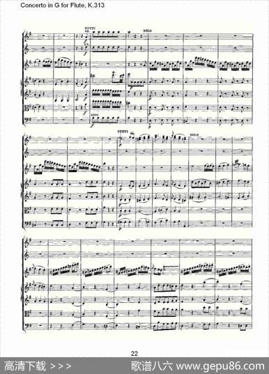 ConcertoinGforFlute,K.313（G调长笛协奏曲,K.313）
