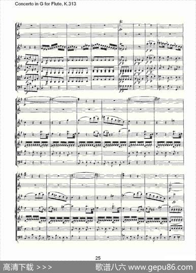 ConcertoinGforFlute,K.313（G调长笛协奏曲,K.313）