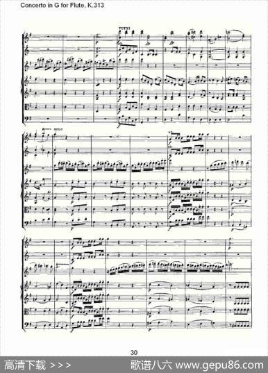 ConcertoinGforFlute,K.313（G调长笛协奏曲,K.313）