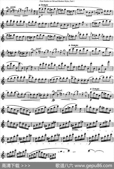斯勒新老风格长笛练习重奏曲（第一部分）（NO.57-NO.58）|SiegfriedThieleS.(斯勒)