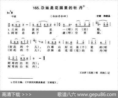 尕妹是花园里的牡丹
