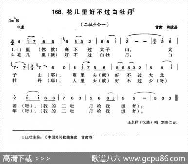 花儿里好不过白牡丹