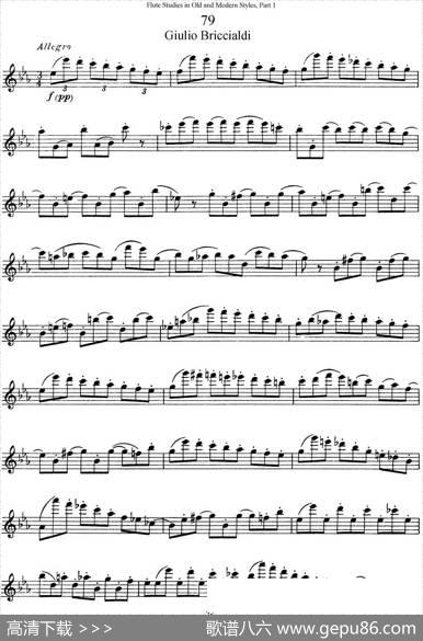 斯勒新老风格长笛练习重奏曲（第一部分）（NO.79）|SiegfriedThieleS.(斯勒)