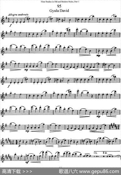 斯勒新老风格长笛练习重奏曲（第一部分）（NO.95-NO.96）|SiegfriedThieleS.(斯勒)