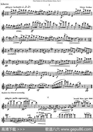 斯勒新老风格长笛练习重奏曲（第二部分）（NO.3-NO.5）|SiegfriedThieleS.(斯勒)
