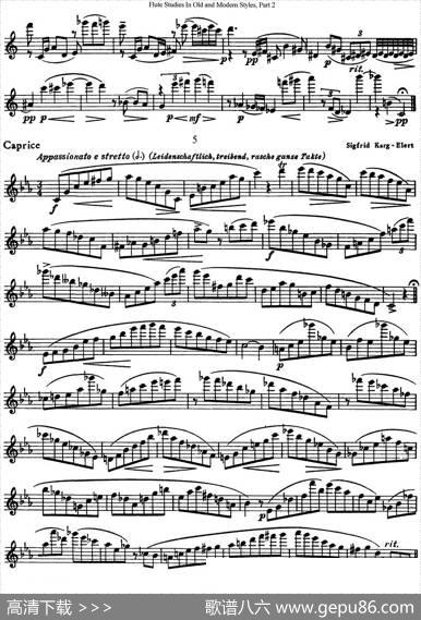 斯勒新老风格长笛练习重奏曲（第二部分）（NO.3-NO.5）|SiegfriedThieleS.(斯勒)