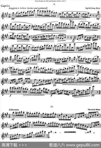 斯勒新老风格长笛练习重奏曲（第二部分）（NO.9-NO.10）|SiegfriedThieleS.(斯勒)