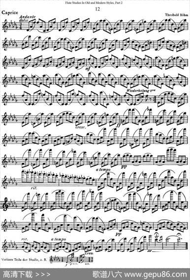 斯勒新老风格长笛练习重奏曲（第二部分）（NO.12）|SiegfriedThieleS.(斯勒)