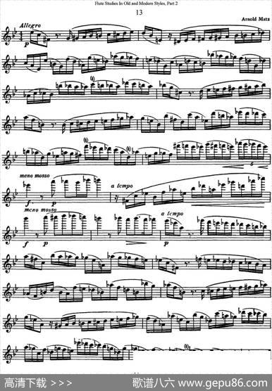 斯勒新老风格长笛练习重奏曲（第二部分）（NO.13）|SiegfriedThieleS.(斯勒)