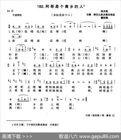 阿哥是个离乡的人