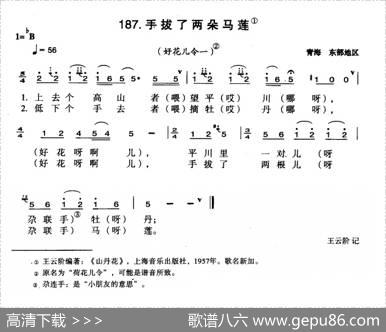 手拔了两朵马莲