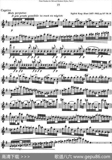 斯勒新老风格长笛练习重奏曲（第二部分）（NO.19）|SiegfriedThieleS.(斯勒)