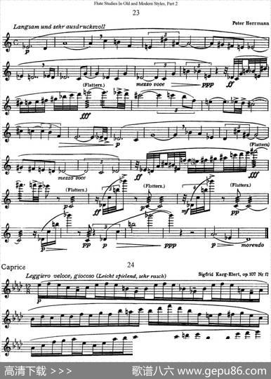 斯勒新老风格长笛练习重奏曲（第二部分）（NO.23-NO.24）|SiegfriedThieleS.(斯勒)