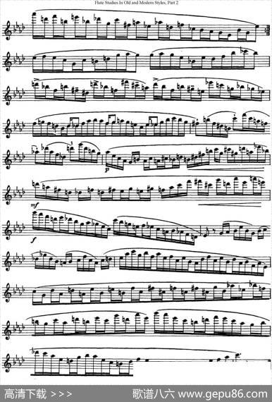 斯勒新老风格长笛练习重奏曲（第二部分）（NO.23-NO.24）|SiegfriedThieleS.(斯勒)