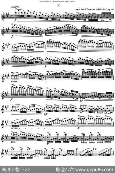 斯勒新老风格长笛练习重奏曲（第二部分）（NO.30-NO.31）|SiegfriedThieleS.(斯勒)