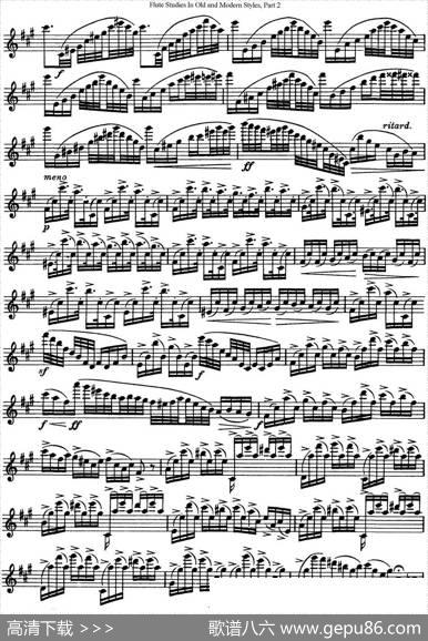 斯勒新老风格长笛练习重奏曲（第二部分）（NO.30-NO.31）|SiegfriedThieleS.(斯勒)
