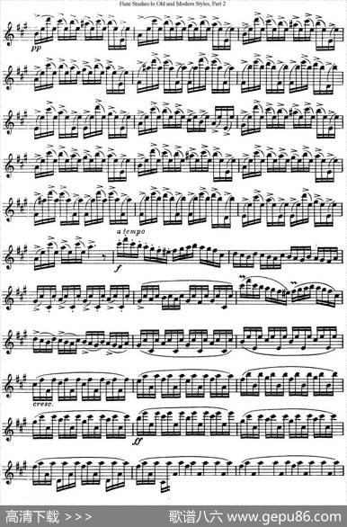 斯勒新老风格长笛练习重奏曲（第二部分）（NO.30-NO.31）|SiegfriedThieleS.(斯勒)