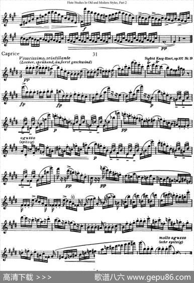 斯勒新老风格长笛练习重奏曲（第二部分）（NO.30-NO.31）|SiegfriedThieleS.(斯勒)