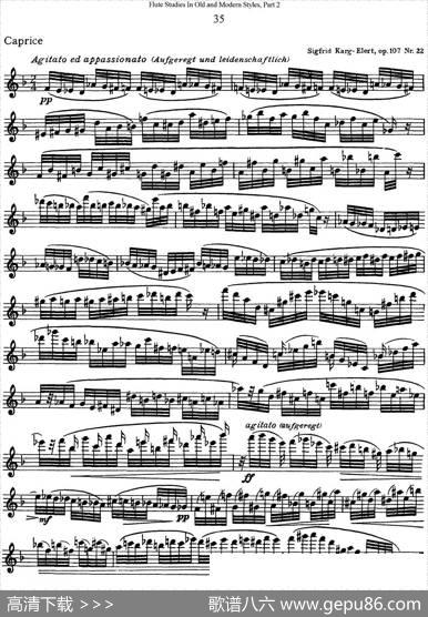 斯勒新老风格长笛练习重奏曲（第二部分）（NO.35）|SiegfriedThieleS.(斯勒)