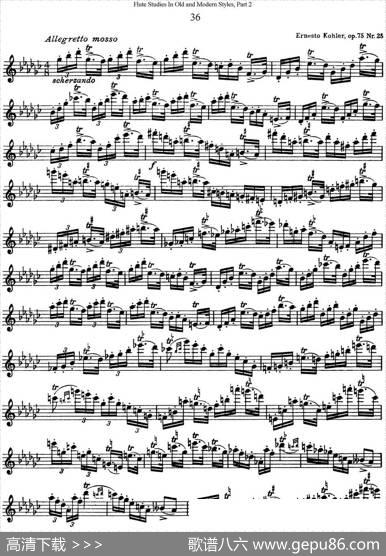 斯勒新老风格长笛练习重奏曲（第二部分）（NO.36）|SiegfriedThieleS.(斯勒)