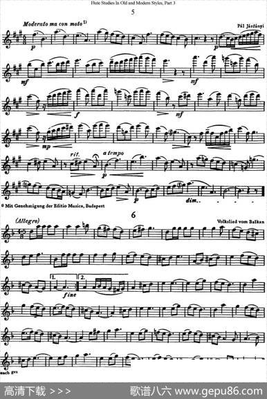 斯勒新老风格长笛练习重奏曲（第三部分）（NO.5-NO.6）|SiegfriedThieleS.(斯勒)