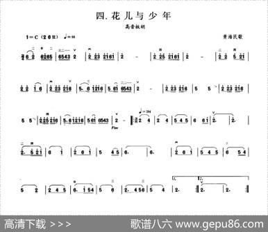 花儿与少年（板胡曲集第一级）