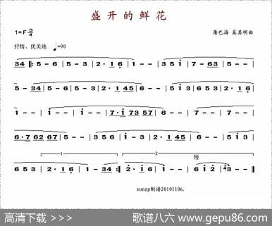 盛开的鲜花