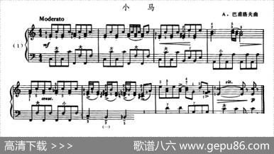 小马|A·巴甫洛夫