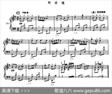 野玫瑰|[奥]舒伯特