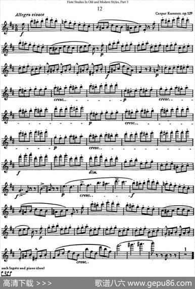 斯勒新老风格长笛练习重奏曲（第三部分）（NO.12）|SiegfriedThieleS.(斯勒)