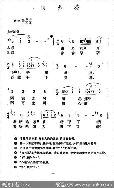 山丹花（青海花儿令）
