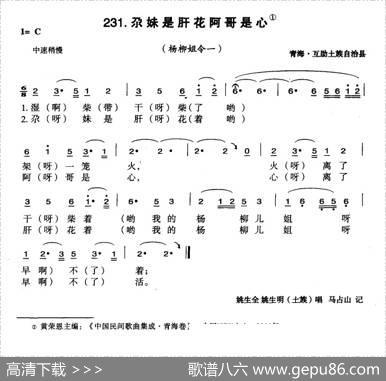 尕妹是肝花阿哥是心
