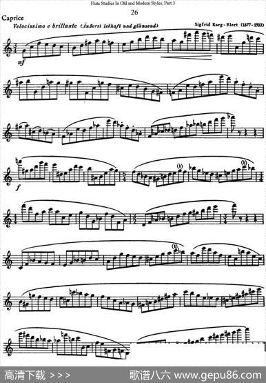 斯勒新老风格长笛练习重奏曲（第三部分）（NO.26）|SiegfriedThieleS.(斯勒)