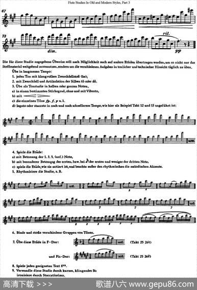 斯勒新老风格长笛练习重奏曲（第三部分）（NO.28）|SiegfriedThieleS.(斯勒)